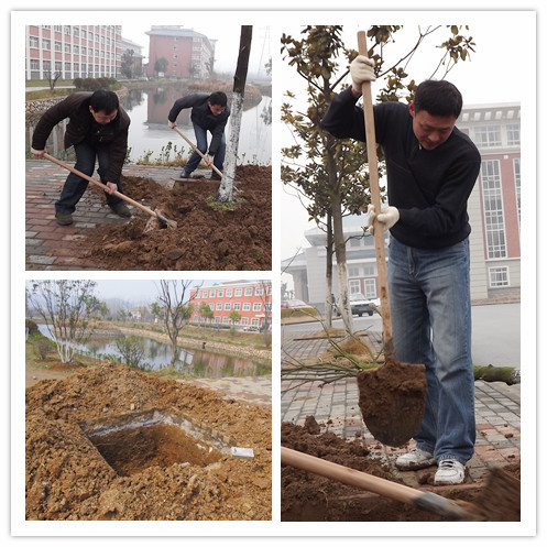 信息系师生齐挖共种植下绿色培育希望    