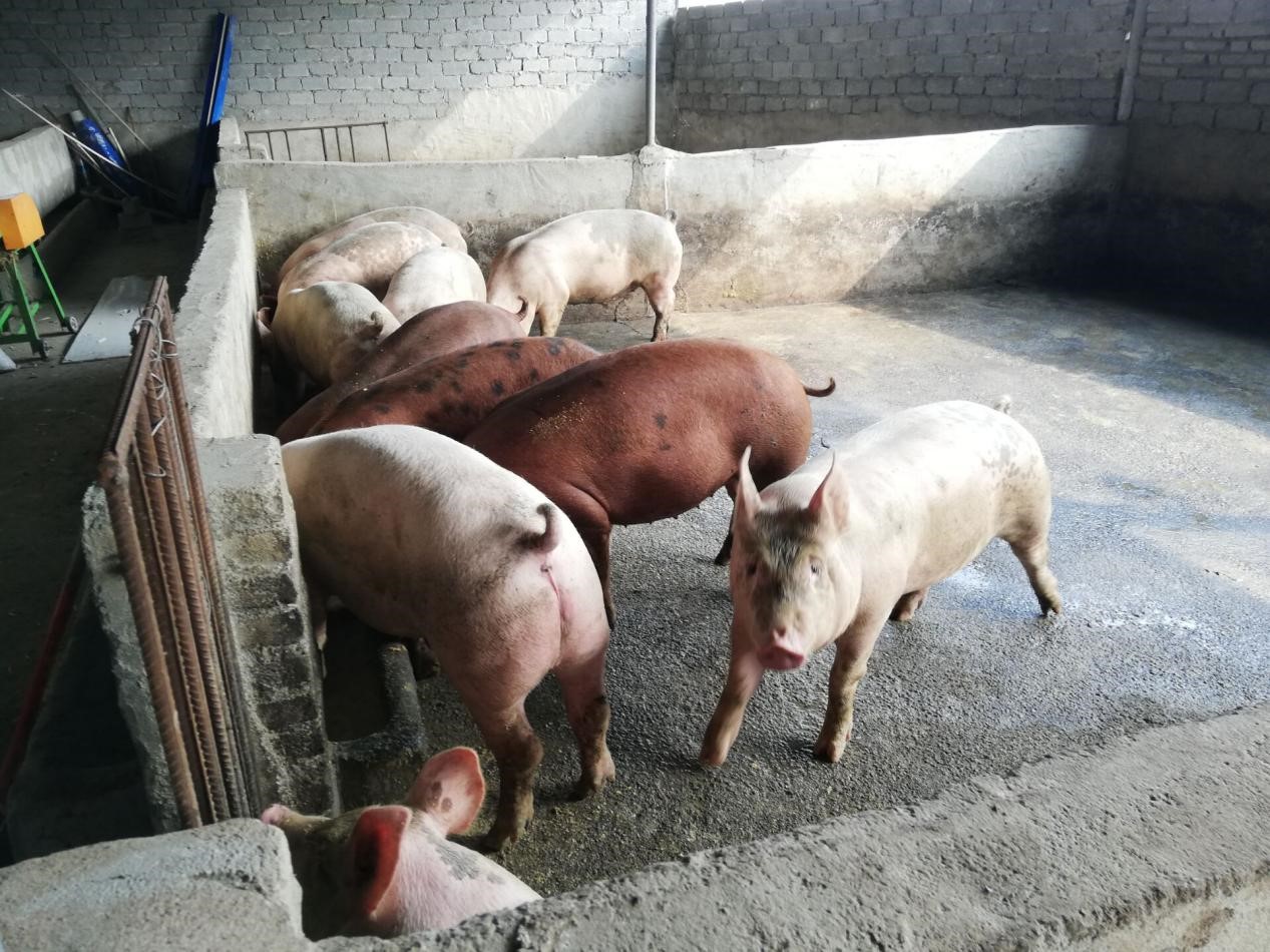 1599639763413191.jpg 2.jpg