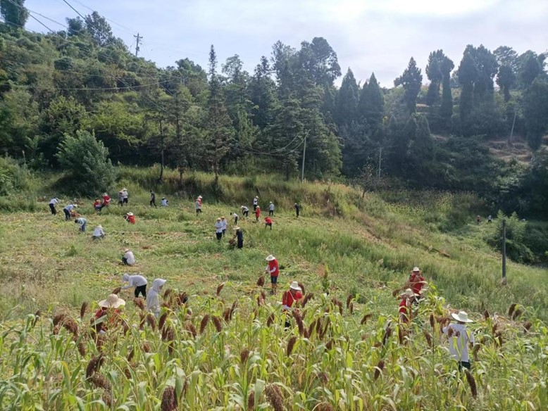 1661399133139694.jpg 2.jpg